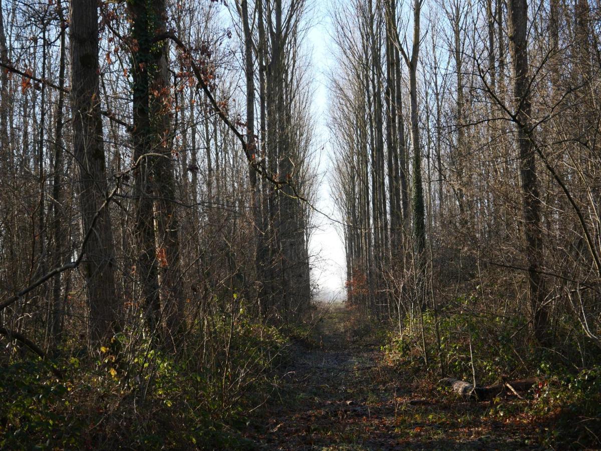 La Cabane Du Chasseur Flines-Les-Mortagne Esterno foto