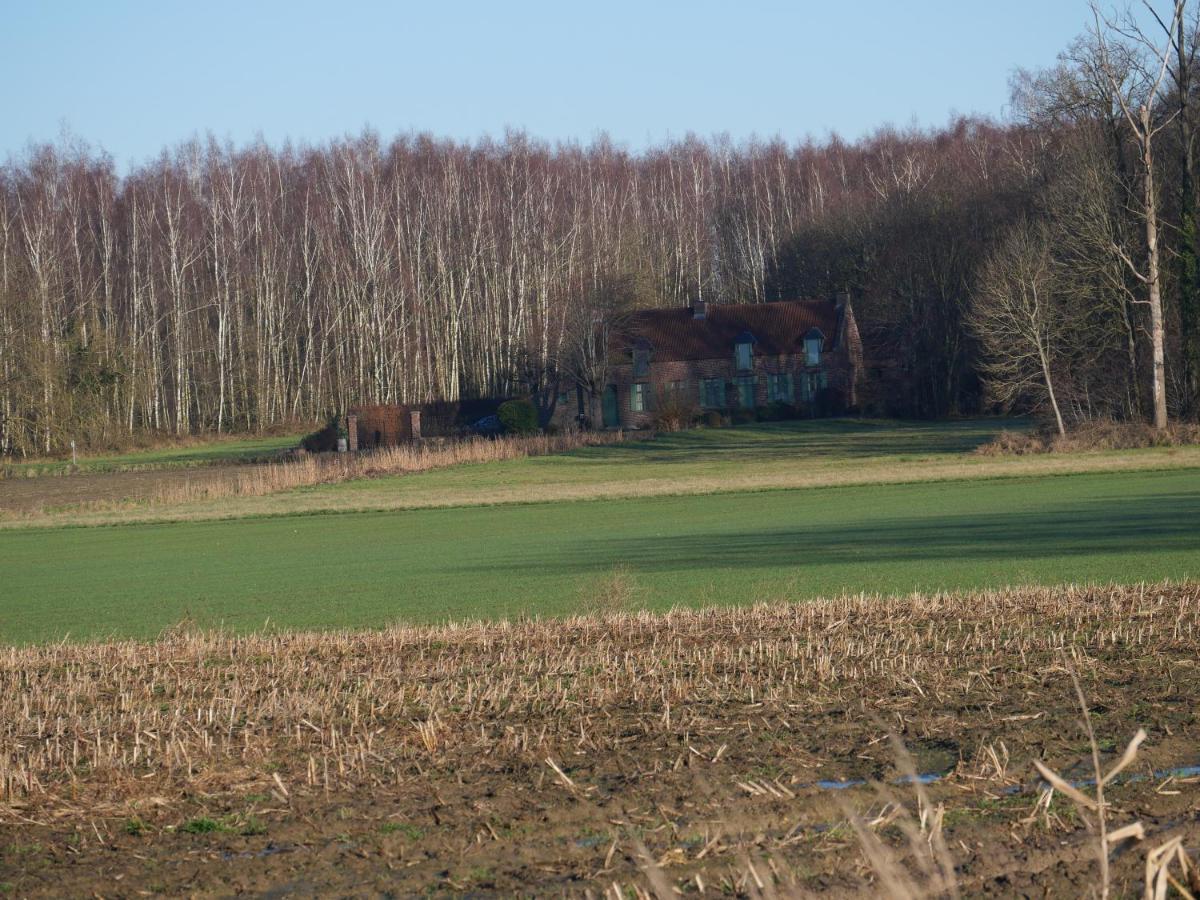 La Cabane Du Chasseur Flines-Les-Mortagne Esterno foto