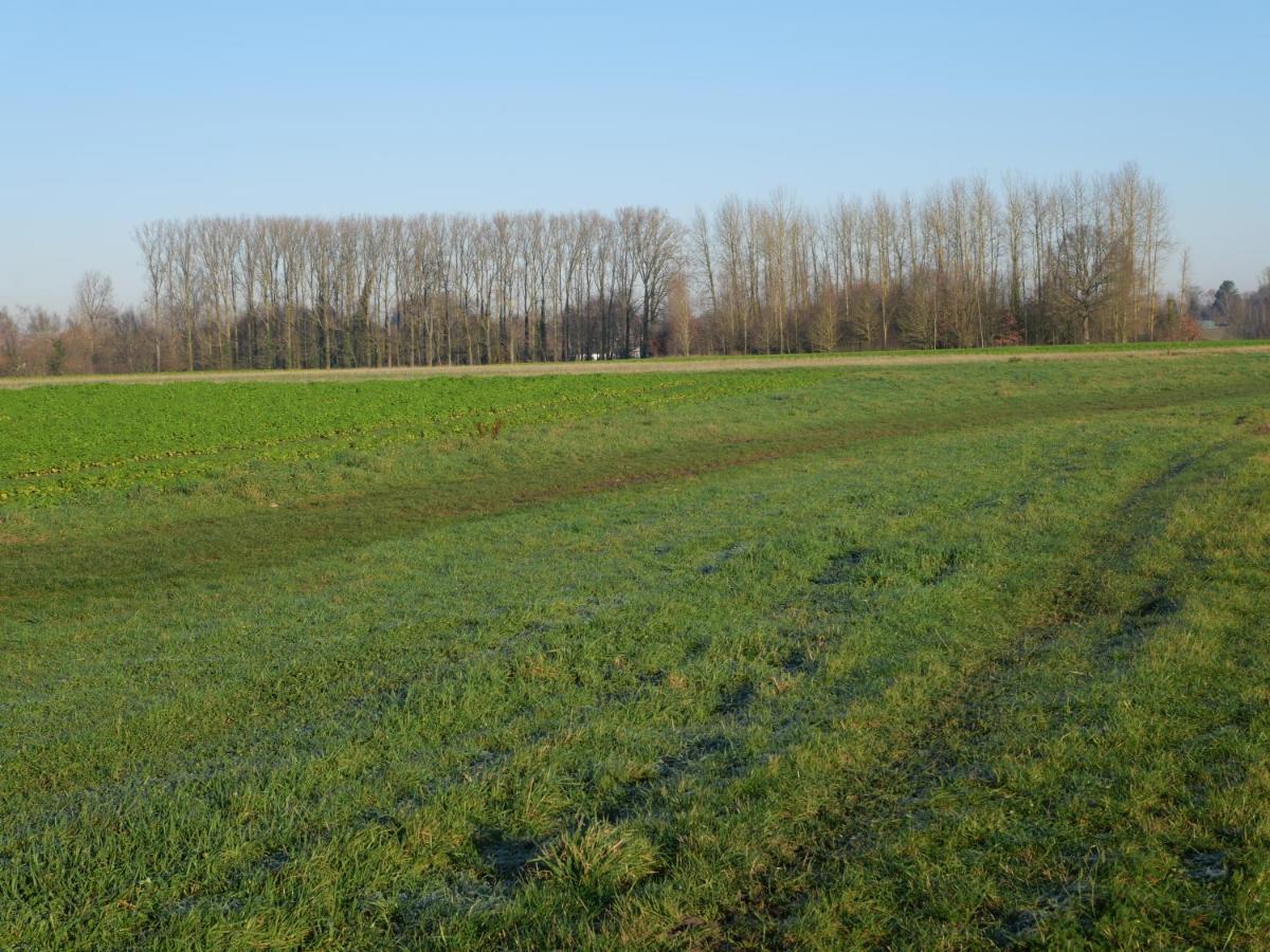 La Cabane Du Chasseur Flines-Les-Mortagne Esterno foto